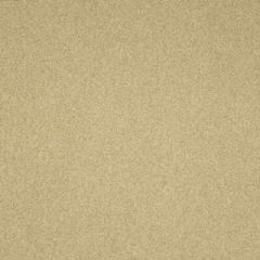 Lee Jofa 2006229-16 Flannelsuede-Beach Decor Upholstery Fabric