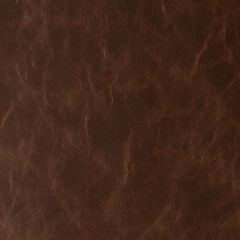 Kravet Contract Daytripper Hot Chocolate 6 Sta-Kleen Collection Indoor Upholstery Fabric