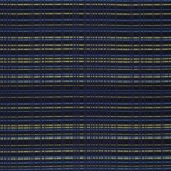Robert Allen Contract Cronos-Royal 244932 Decor Upholstery Fabric