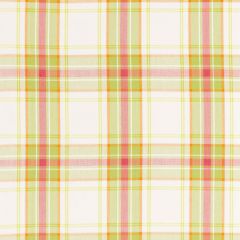 F Schumacher St. Martin Plaid Lime 68070 Calypso Collection Indoor Upholstery Fabric