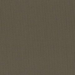 Perennials Canvas Weave Khaki 600-239 More Amore Collection Upholstery Fabric