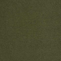 Robert Allen Pop Bk Caper 146061 Indoor Upholstery Fabric