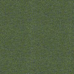 Mayer Fiji Evergreen 458-013 Tourist Collection Indoor Upholstery Fabric