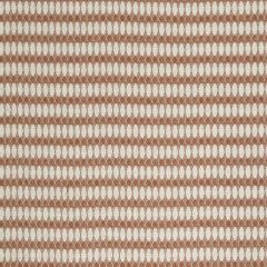 Robert Allen Puffy Path Cayenne 229697 Drenched Color Collection Indoor Upholstery Fabric