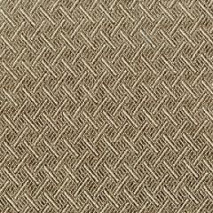 ABBEYSHEA Dylan 27 Khaki Indoor Upholstery Fabric