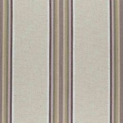 Clarke and Clarke Imani Orchid / Willow F0955-04 Multipurpose Fabric
