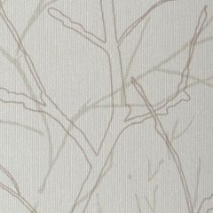 Winfield Thybony Sycamore Mist WHF3068 Wall Covering