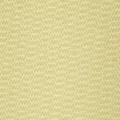 Robert Allen Nesting Zigzag Sunray 241106 Botanical Color Collection Indoor Upholstery Fabric