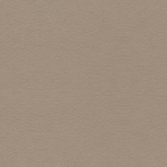 Lee Jofa Ultimate Stone 960122-6111 Ultimate Suede Collection Indoor Upholstery Fabric