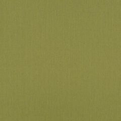 Robert Allen Linen Endure Spring Grass 256815 Durable Linens Collection Indoor Upholstery Fabric