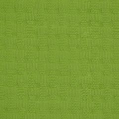 Robert Allen Carmel Weave Sea Grass 209894 Indoor/Outdoor Upholstery Fabric