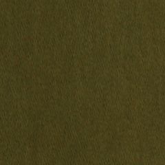 Robert Allen Royal Comfort Boxwood 231885 Cotton Velvets Collection Indoor Upholstery Fabric
