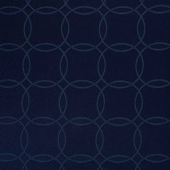Beacon Hill Ravenel Navy 260154 Silk Jacquards and Embroideries Collection Multipurpose Fabric