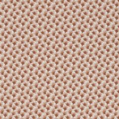 Duralee Nuno Coral DE42667-31 By Tilton Fenwick Indoor Upholstery Fabric