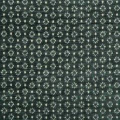 Kravet Design 35695-30 Indoor Upholstery Fabric