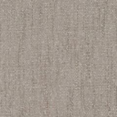Duralee Silver DW61842-248 Pirouette All Purpose Collection Multipurpose Fabric