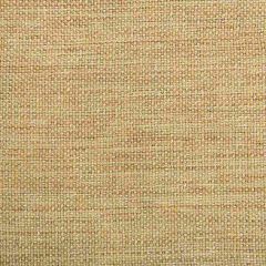 Kravet Smart 34939-414 Indoor Upholstery Fabric