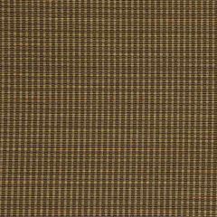 Robert Allen Durango Zest 220865 Color Library Collection Indoor Upholstery Fabric