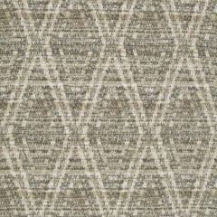 Robert Allen Rustic Blend Pewter 240310 Crypton Home Collection Multipurpose Fabric