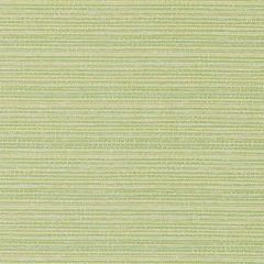 Duralee Pistachio DW16053-399 The Tradewinds Indoor-Outdoor Woven Collection  Upholstery Fabric
