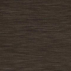 Robert Allen Ballinbogle Charcoal 218314 Drapeable Textures Collection Multipurpose Fabric