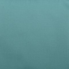 Duralee Aqua 32594-19 Decor Fabric