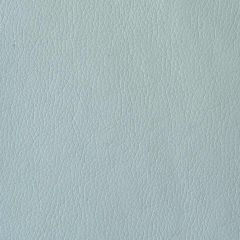 Kravet Valera Spa 15 Indoor Upholstery Fabric