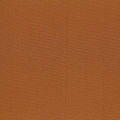Robert Allen Contract Vinetta-Sienna 215479 Decor Multi-Purpose Fabric