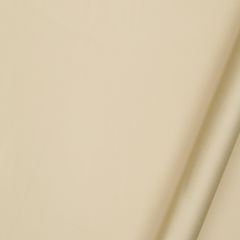 Robert Allen Treasure Beach Latte 235176 Drapeable Silk Looks Collection Multipurpose Fabric