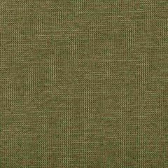 Kravet Contract 35430-3 Indoor Upholstery Fabric