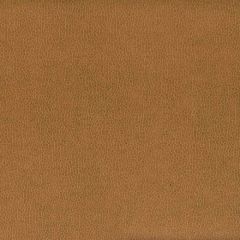 Stout Wilkinson Oak 5 on the Go Collection Indoor Upholstery Fabric
