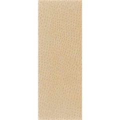 Kravet Nuostrich Putty 1116 Indoor Upholstery Fabric