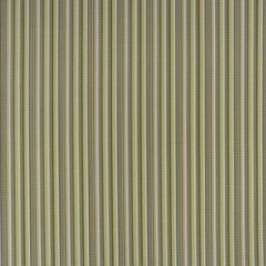 Phifertex Delray Stripe Kiwi DJ6 54-inch Sling / Mesh Upholstery Fabric