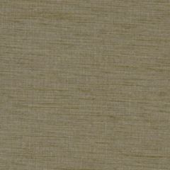 Robert Allen Plain Elegance Mineral II 200785 Natural Textures Collection Multipurpose Fabric