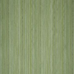 Robert Allen Fiero Stripe Spring Grass 241222 Botanical Color Collection Indoor Upholstery Fabric