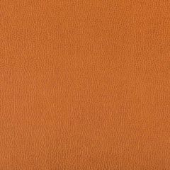 Kravet Contract Lenox Marmalade 424 Indoor Upholstery Fabric