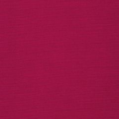 Robert Allen Tramore II-Geranium 215473 Decor Multi-Purpose Fabric
