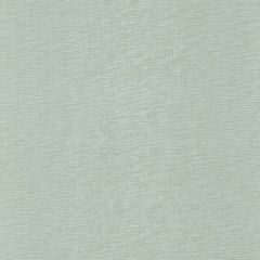 Robert Allen Nashua Viridian 243402 Drapeable Elegant Textures Collection Multipurpose Fabric