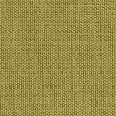 Robert Allen Contract Mini Stitch-Citron 214835 Decor Upholstery Fabric