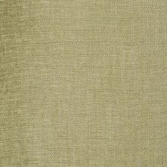 Robert Allen Mini Drops Moss 255233 Enchanting Color Collection Indoor Upholstery Fabric