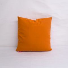 Indoor/Outdoor Sunbrella Canvas Tangerine - 18x18 Throw Pillow