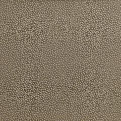 Kravet Contract Fetch Hemp 106 Foundations / Value Collection Indoor Upholstery Fabric