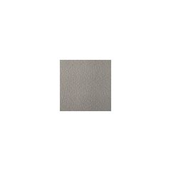 Kravet Contract Fetch Pewter 11 Foundations / Value Collection Indoor Upholstery Fabric
