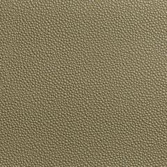 Kravet Contract Fetch Radiant 16 Foundations / Value Collection Indoor Upholstery Fabric