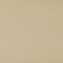 Kravet Contract Fetch Sandbar 1606 Foundations / Value Collection Indoor Upholstery Fabric