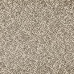 Kravet Contract Fetch Stone 1616 Foundations / Value Collection Indoor Upholstery Fabric