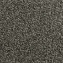 Kravet Contract Fetch Granite 21 Foundations / Value Collection Indoor Upholstery Fabric