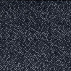 Kravet Contract Fetch Starlight 50 Foundations / Value Collection Indoor Upholstery Fabric