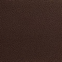 Kravet Contract Fetch Penny 6 Foundations / Value Collection Indoor Upholstery Fabric