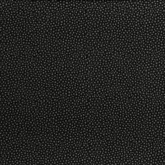Kravet Contract Fetch Stargazer 821 Foundations / Value Collection Indoor Upholstery Fabric